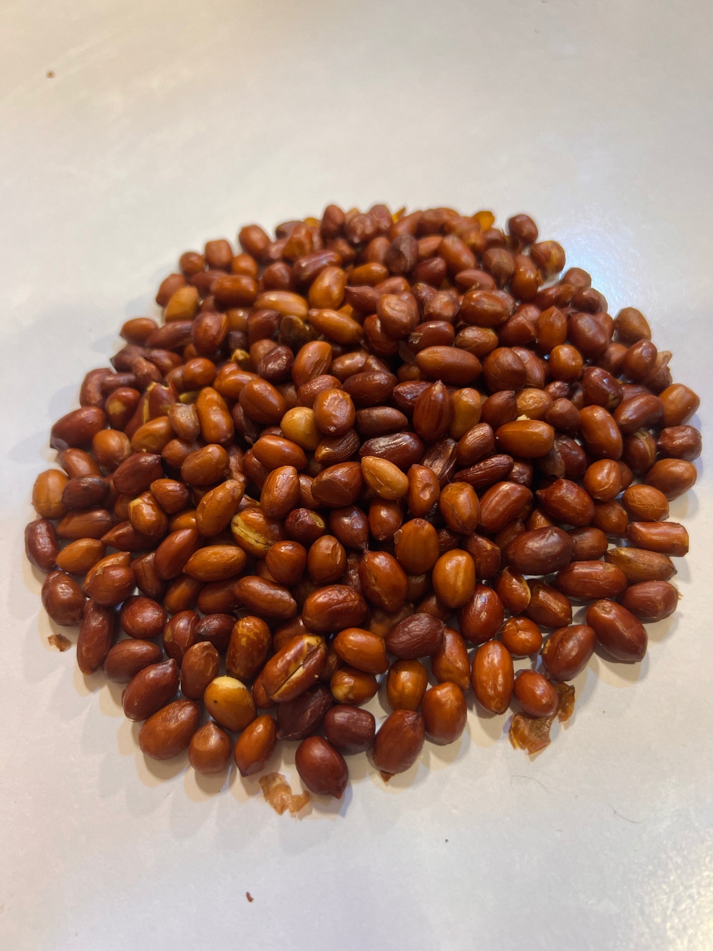 Roasted peanuts (mong phali)