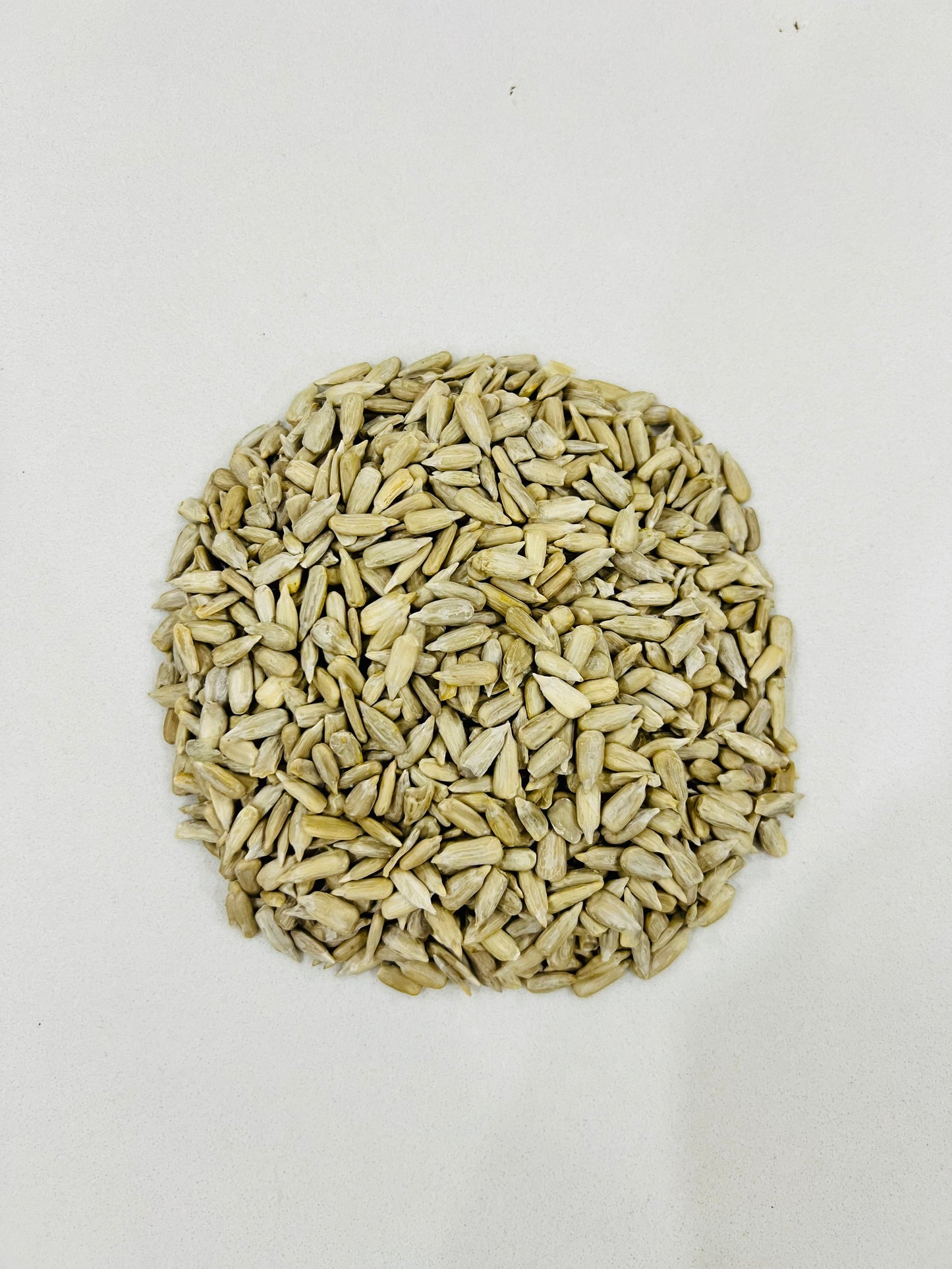 Simple Sunflower Seeds (Suraj Mukhi ke Beej)