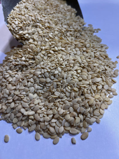 Charo Maghaz (چاروں مغز)