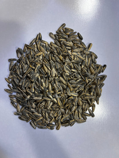 Sunflower Seeds Salt-Coated (Suraj Mukhi ke Beej)