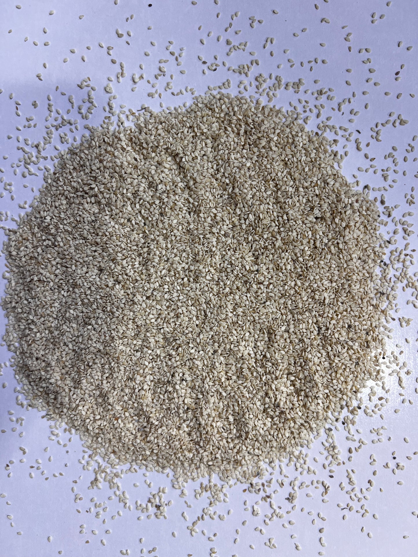 White Til (Sesame Seeds)