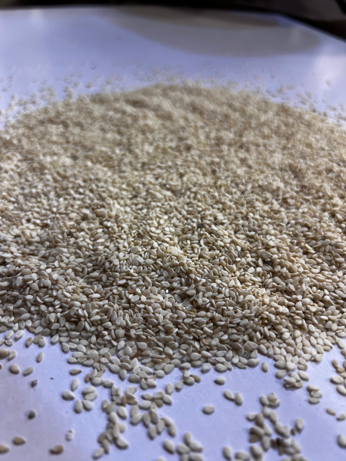 White Til (Sesame Seeds)