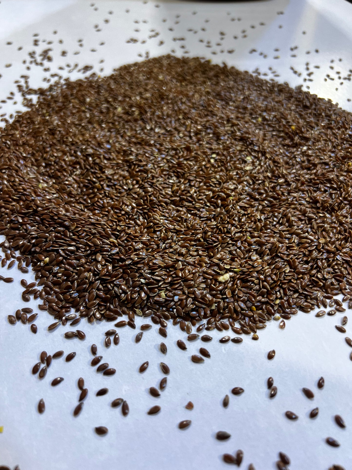 Alsii Seeds (Flax Seeds)