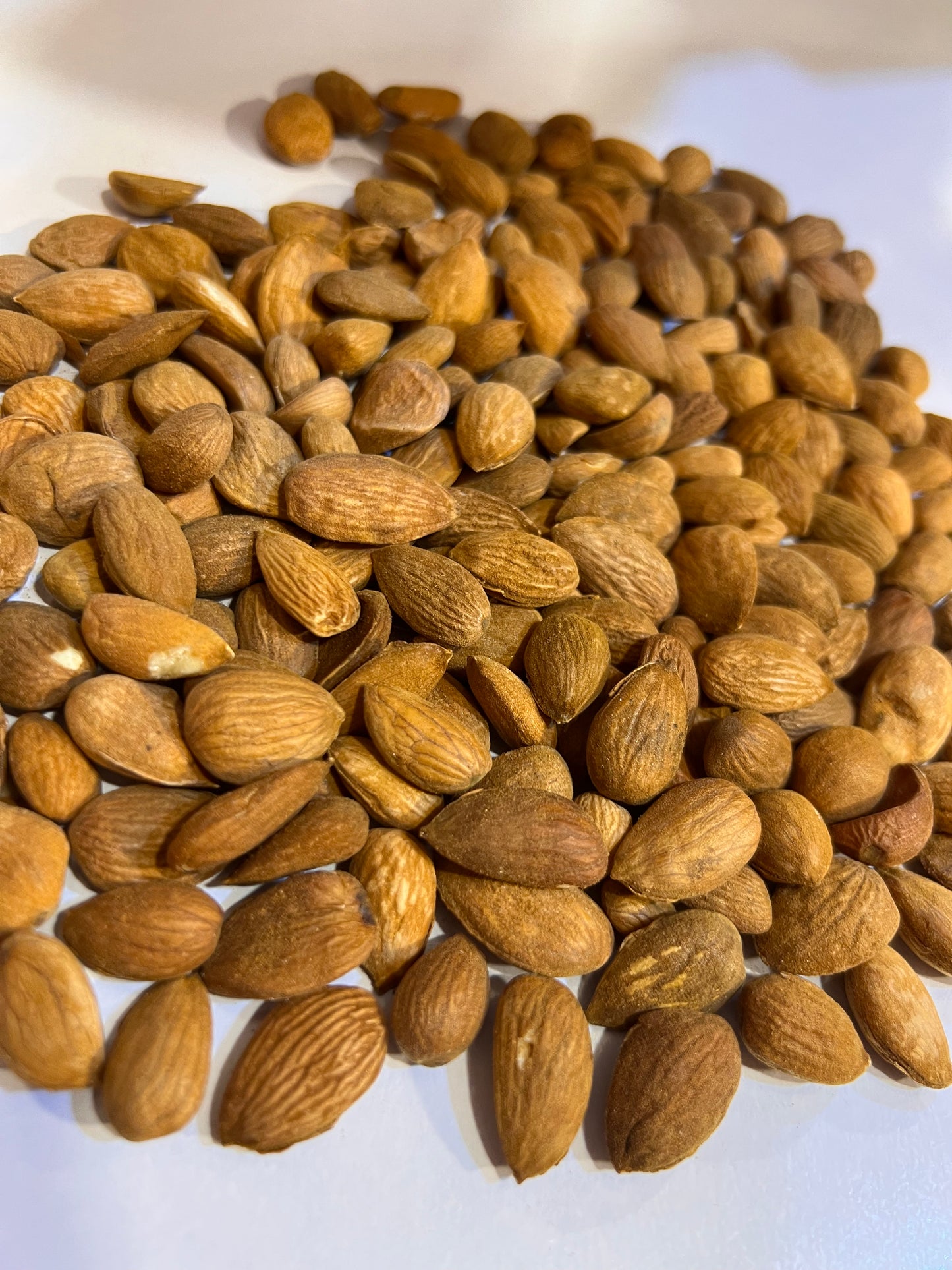 Gurbandi Badam (Desi Badam Giri)